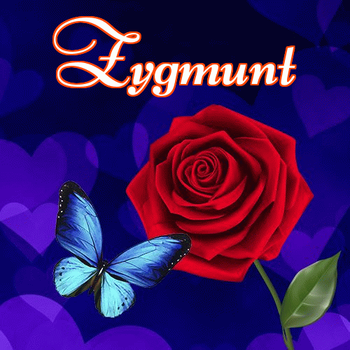 Miłego wieczoru i dobrej nocy życzę!。 