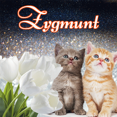 Miłego wieczoru i dobrej nocy życzę!。 