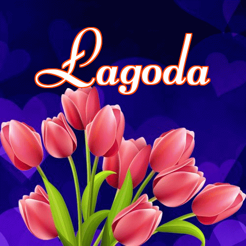 Miłego wieczoru i dobrej nocy życzę!。 