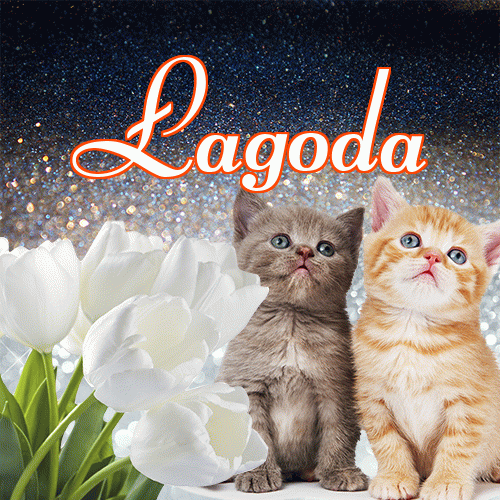 Miłego wieczoru i dobrej nocy życzę!。 