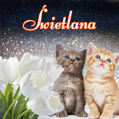 Miłego wieczoru i dobrej nocy życzę!。 