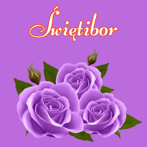 Miłego wieczoru i dobrej nocy życzę!。 