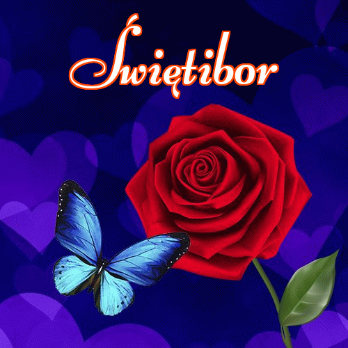 Miłego wieczoru i dobrej nocy życzę!。 