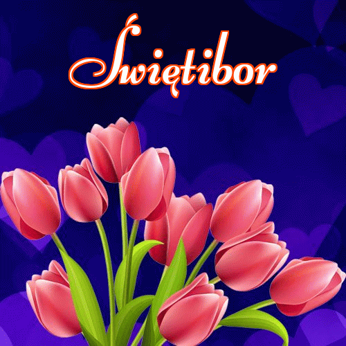 Miłego wieczoru i dobrej nocy życzę!。 