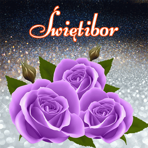 Miłego wieczoru i dobrej nocy życzę!。 