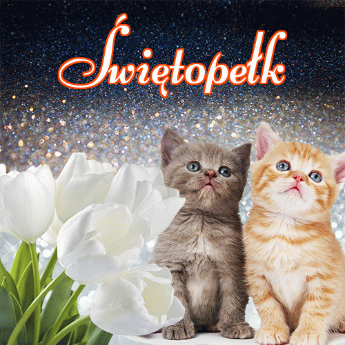 Miłego wieczoru i dobrej nocy życzę!。 