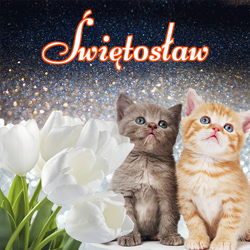 Miłego wieczoru i dobrej nocy życzę!。 