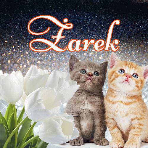 Miłego wieczoru i dobrej nocy życzę!。 