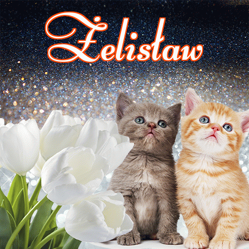 Miłego wieczoru i dobrej nocy życzę!。 