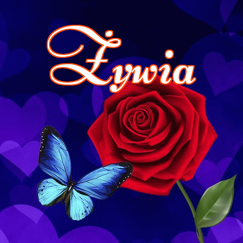 Miłego wieczoru i dobrej nocy życzę!。 