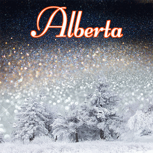 Słodkich, białych, zimowych snów!。 