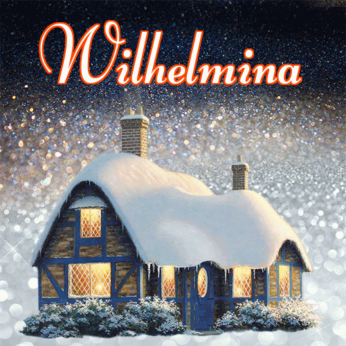 Słodkich, białych, zimowych snów!。 