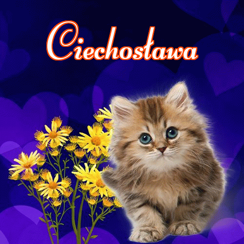 Słodkich snów!。 