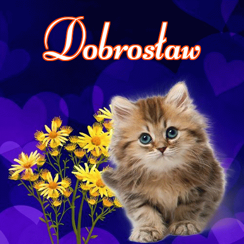 Słodkich snów!。 