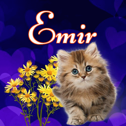 Słodkich snów!。 