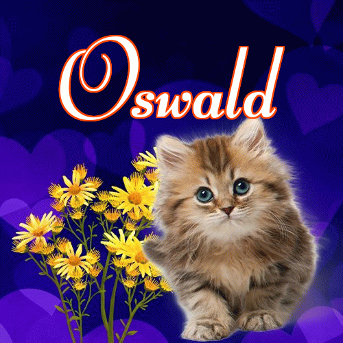 Słodkich snów!。 