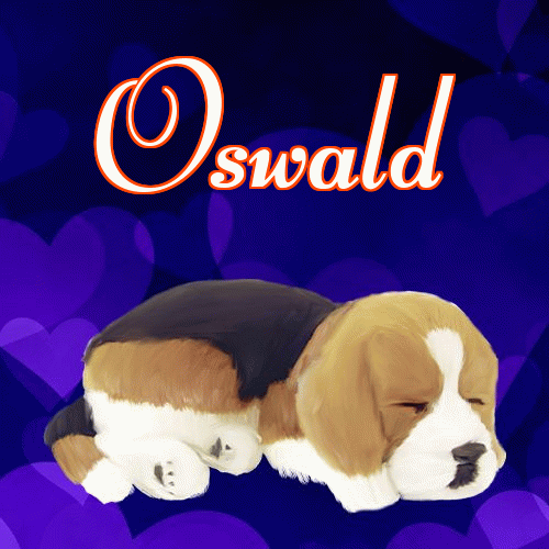 Słodkich snów!。 