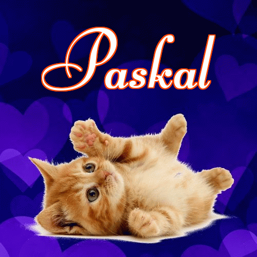 Słodkich snów!。 