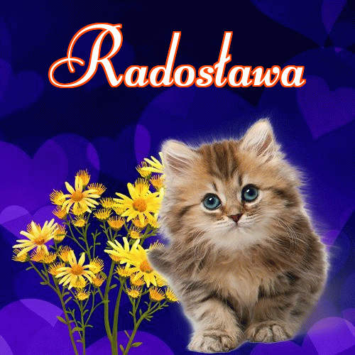 Słodkich snów!。 