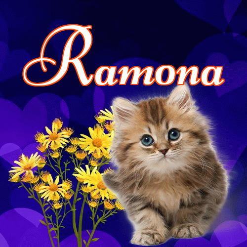 Słodkich snów!。 
