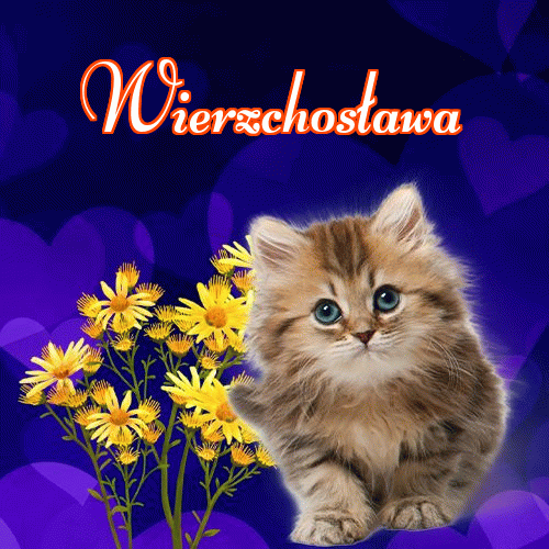 Słodkich snów!。 