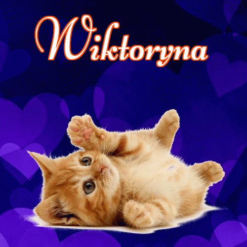 Słodkich snów!。 