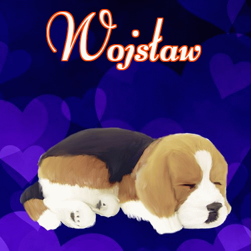 Słodkich snów!。 