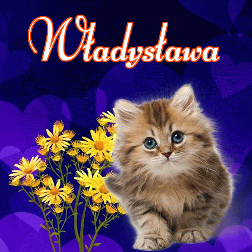 Słodkich snów!。 