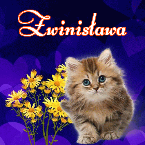 Słodkich snów!。 