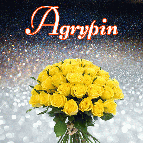 Życzę Ci pięknego jesiennego wieczoru!。 