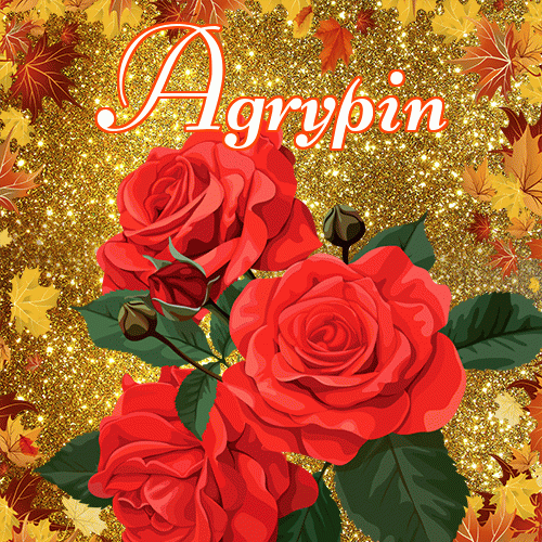 Życzę Ci pięknego jesiennego wieczoru!。 