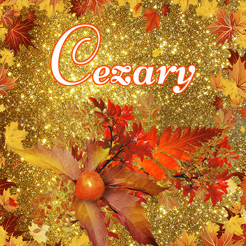 Życzę Ci pięknego jesiennego wieczoru!。 