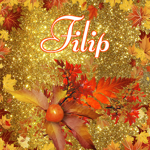 Życzę Ci pięknego jesiennego wieczoru!。 