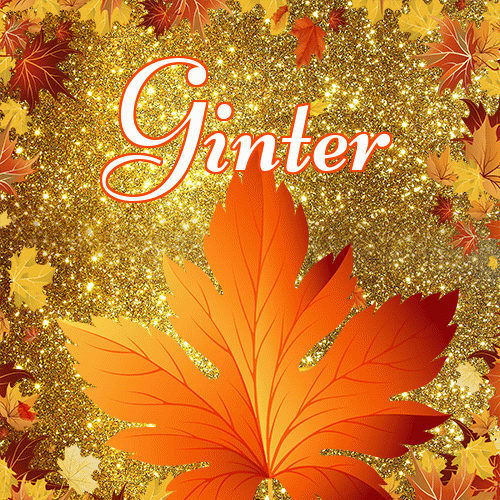 Życzę Ci pięknego jesiennego wieczoru!。 