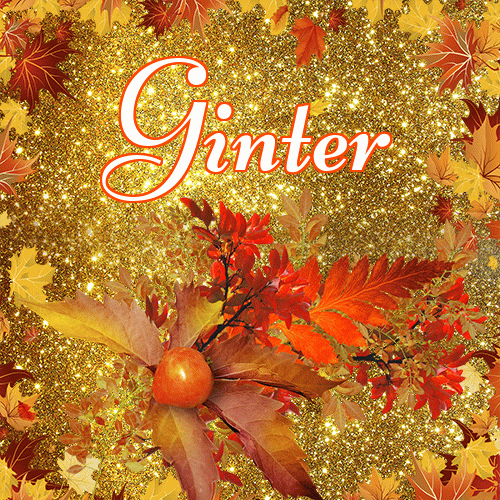 Życzę Ci pięknego jesiennego wieczoru!。 