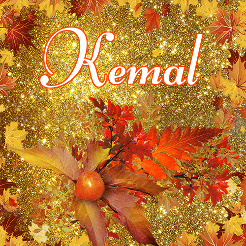 Życzę Ci pięknego jesiennego wieczoru!。 