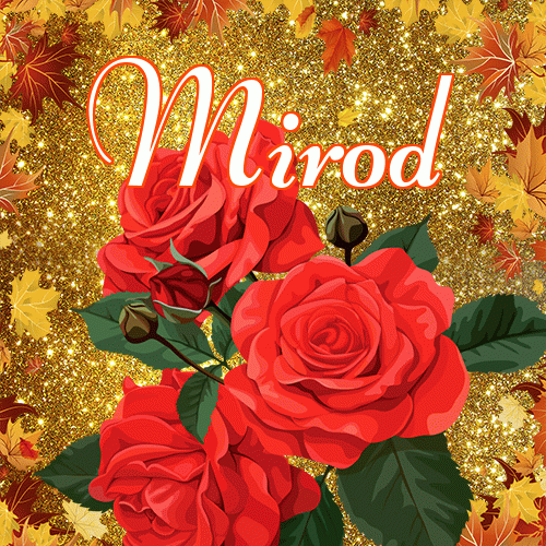 Życzę Ci pięknego jesiennego wieczoru!。 