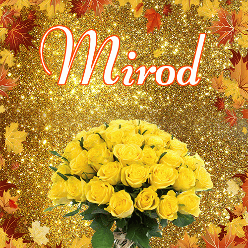 Życzę Ci pięknego jesiennego wieczoru!。 