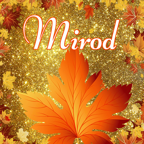 Życzę Ci pięknego jesiennego wieczoru!。 