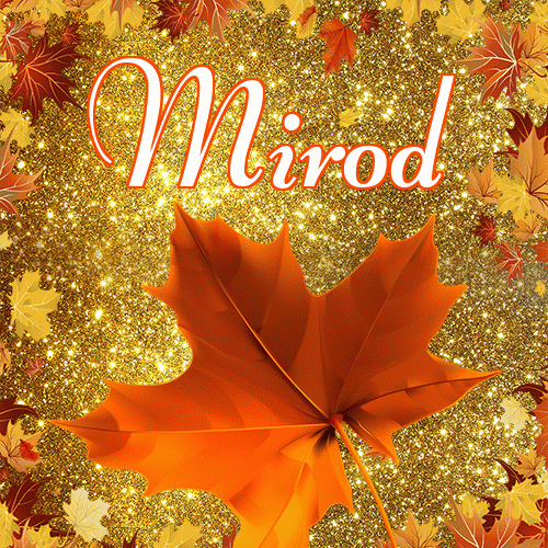 Życzę Ci pięknego jesiennego wieczoru!。 