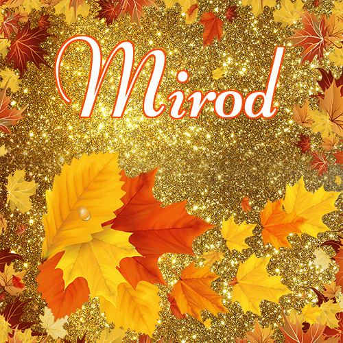 Życzę Ci pięknego jesiennego wieczoru!。 