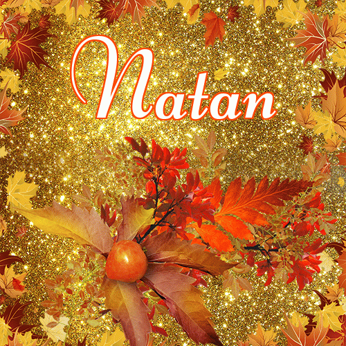 Życzę Ci pięknego jesiennego wieczoru!。 