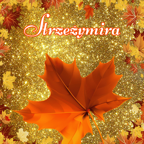 Życzę Ci pięknego jesiennego wieczoru!。 