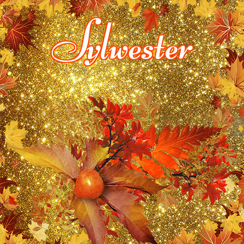 Życzę Ci pięknego jesiennego wieczoru!。 