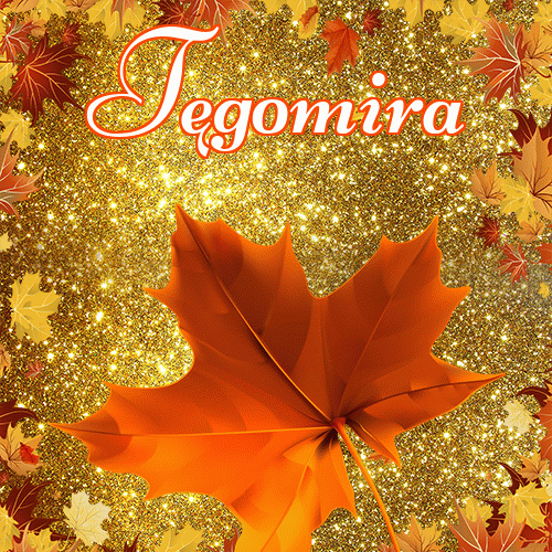 Życzę Ci pięknego jesiennego wieczoru!。 