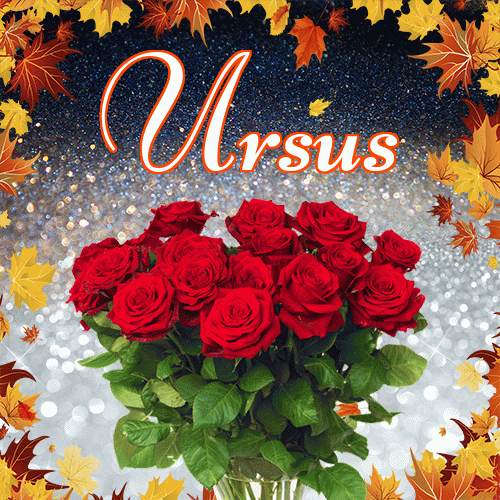 Życzę Ci pięknego jesiennego wieczoru!。 