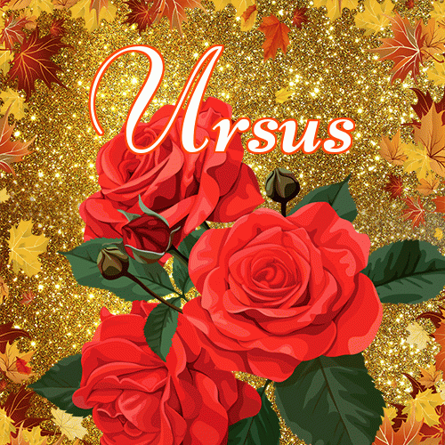 Życzę Ci pięknego jesiennego wieczoru!。 