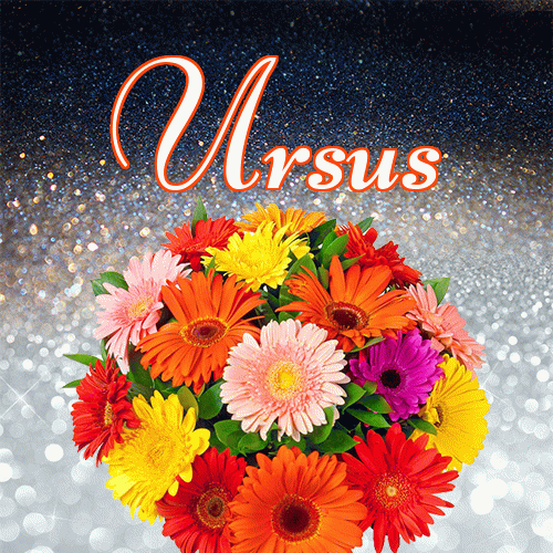 Życzę Ci pięknego jesiennego wieczoru!。 