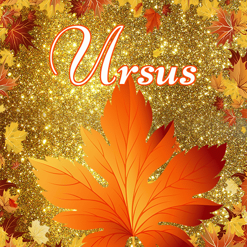 Życzę Ci pięknego jesiennego wieczoru!。 