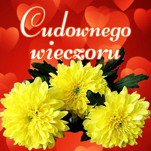 Cudownego wieczoru!! , Zdjęcia z kwiatami, Życzenia Życzę miłego wieczoru Życzę dobrej nocy Kwiaty, !